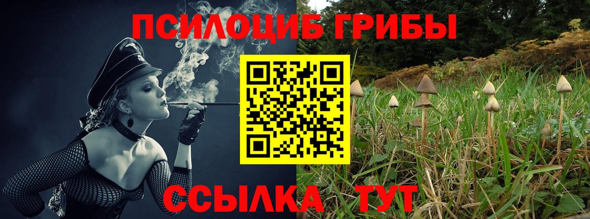 Псилоцибиновые грибы Psilocybine cubensis  Вход с VPN  Орехово-Зуево  Псилоцибиновые грибы Magic Shrooms 