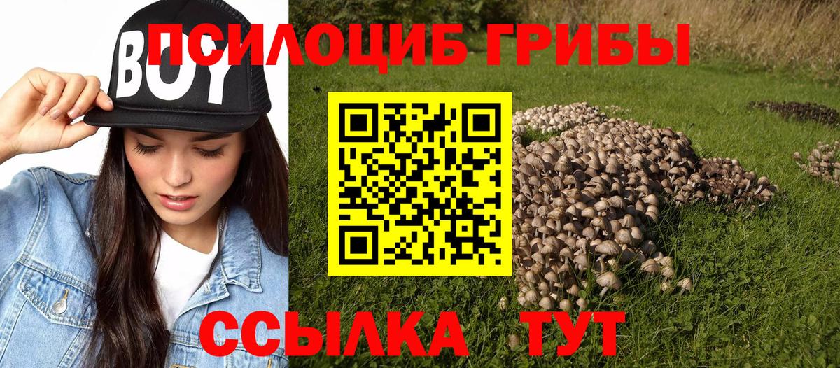 Псилоцибиновые грибы MAGIC MUSHROOMS Орехово-Зуево